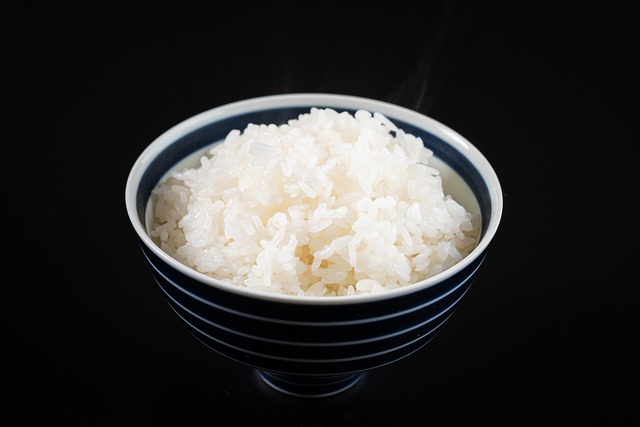 おろしポン酢ステーキ定食