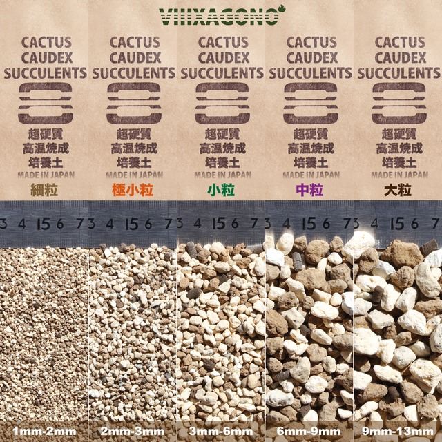 送無 Viiixagono 超硬質焼成培養土 10l 3 細粒 極小粒 小粒 粒サイズ変更可能 サボテン 多肉植物 アガベ パキプス ホリダス Viiixagono エクサゴノ