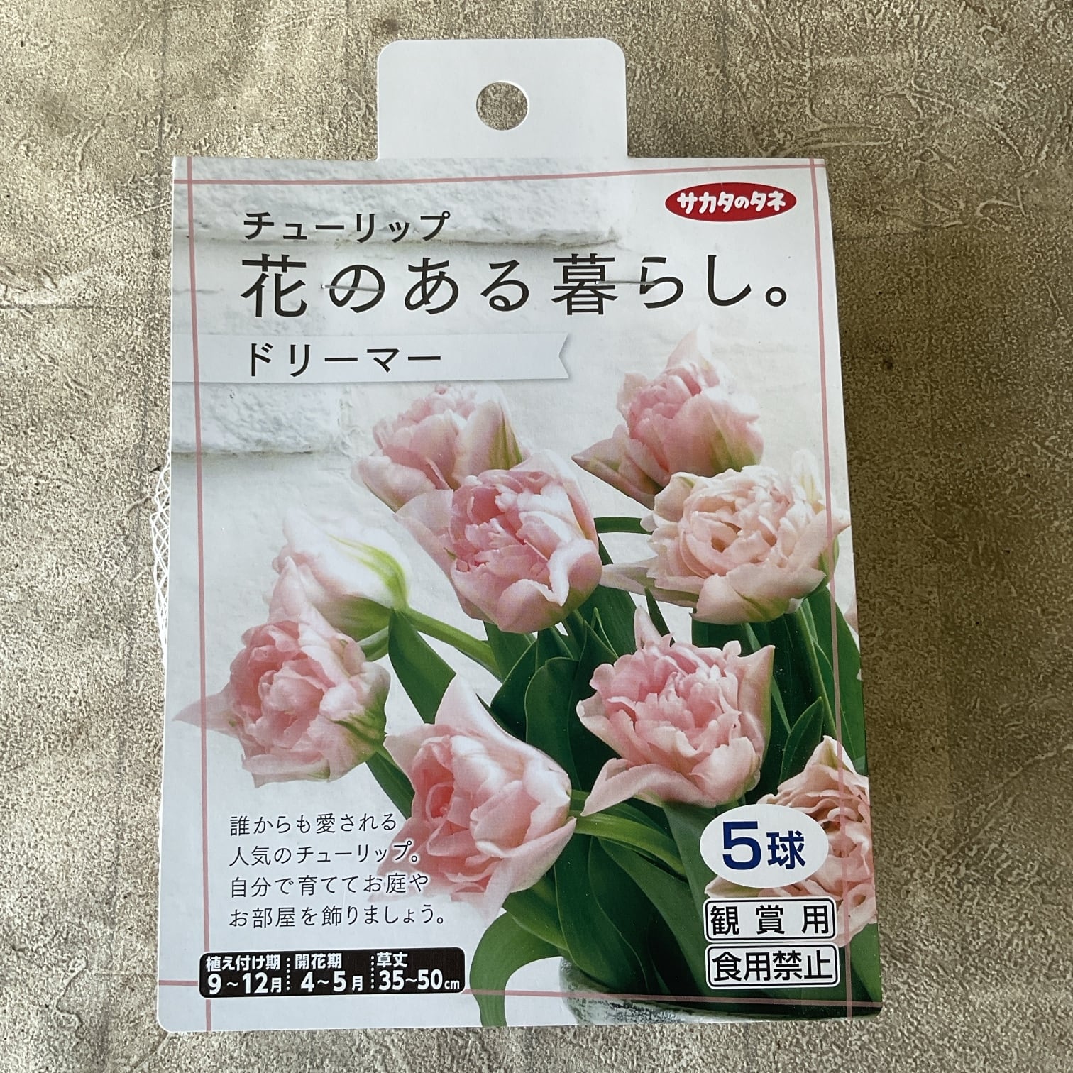 八重咲きチューリップ 選べる2品種 アイスクリーム/ダブルアローサ
