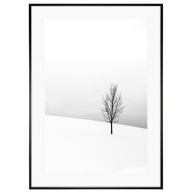 冬写真 インテリア モノクロアートポスター額装 AS0993