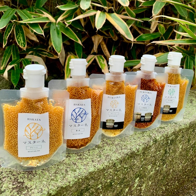 マスターネ。プレーン　5本 お得セット　送料無料❗️