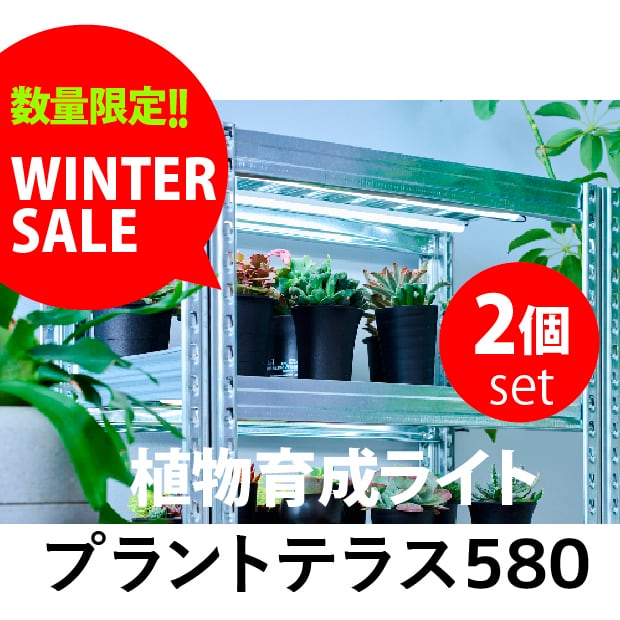 【数量限定 WINTER SALE】植物育成ライト プラントテラス580 2本set LEDライン照明 バータイプ 太陽光 マグネット 棚用 スリム設計 棚幅60 日本製