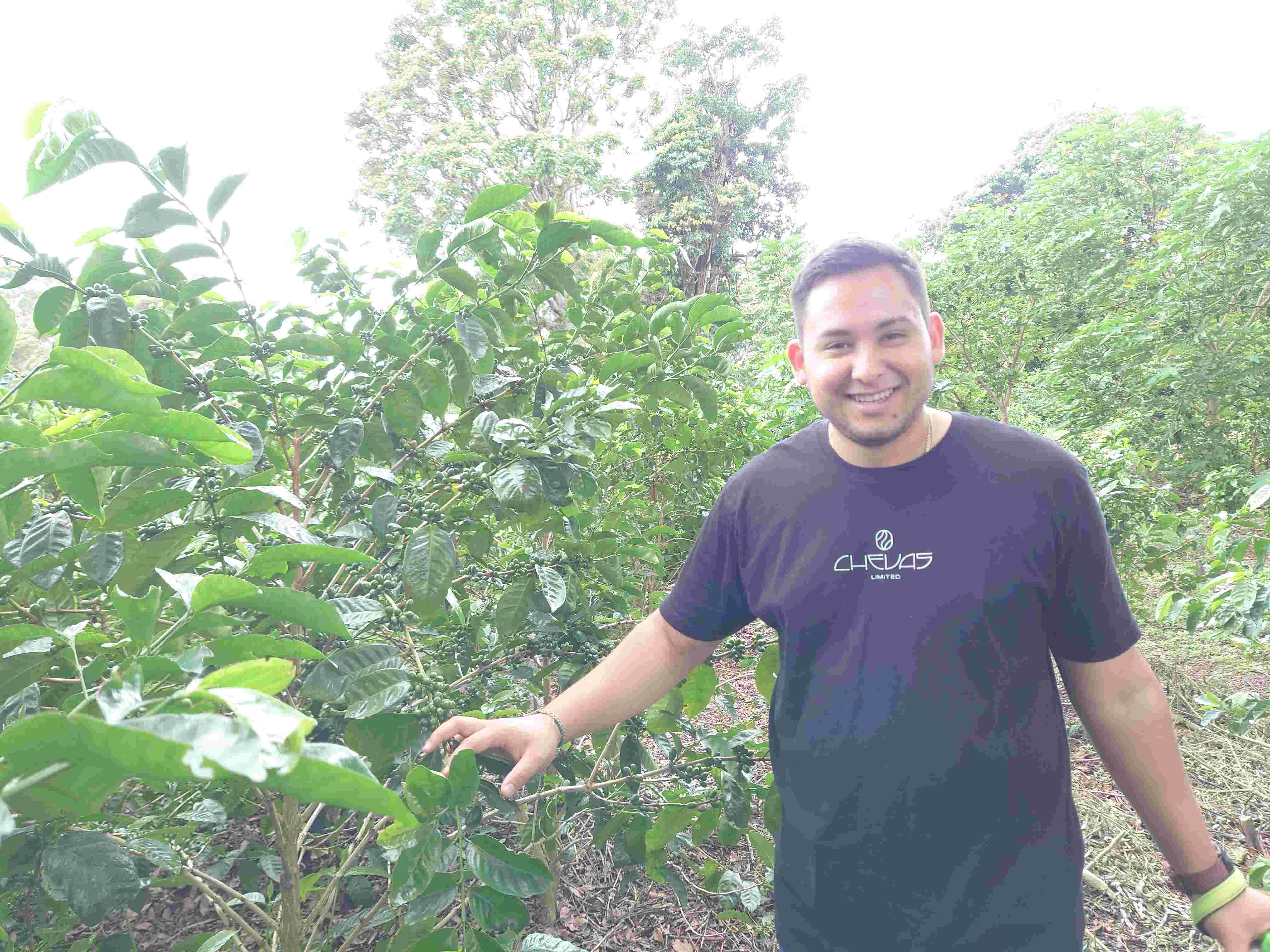 パナマ チェバス/Panama Chevas Natural (50g)