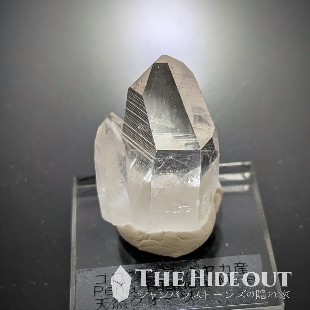 店長気まぐれ仕入れ品008 この産地には珍しい?愛嬌MAXのコロッと形状コロンビアン