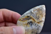 Dendritic Agate Pear Shape Cabochon