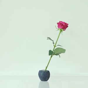 水たまり no.18［ アサンブラージュ ］