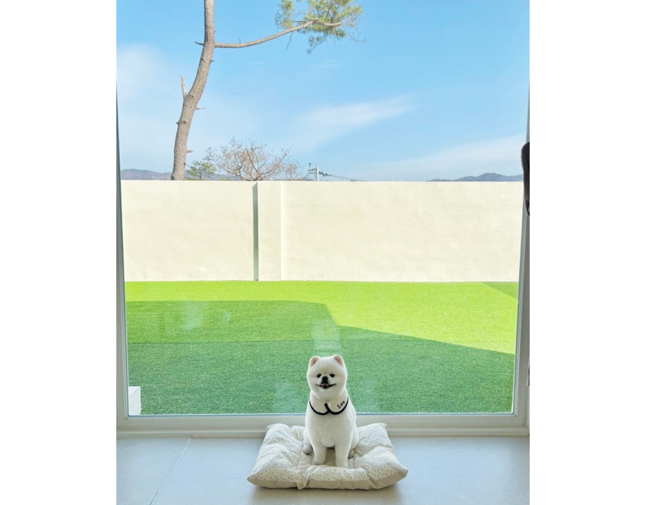 予約【curum】ブラックラインビブ　予約販売