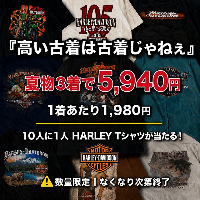 【1着あたり1,980円】高い古着は古着じゃねぇ！夏物3着セット