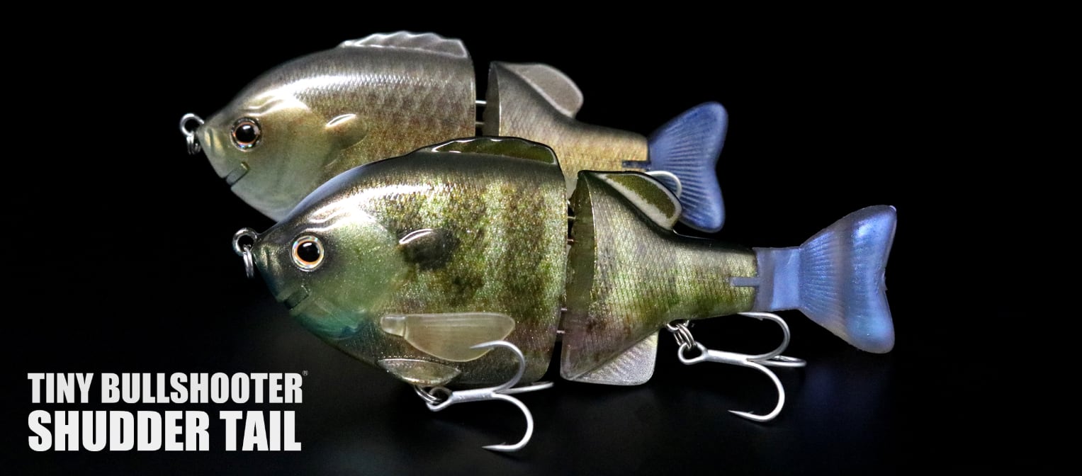 ビッグベイト ルアーセット ビッグベイト ルアーセット 詰め合わせ