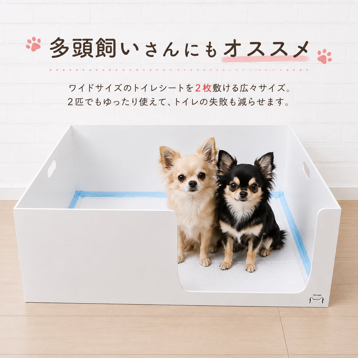 中型犬用トイレ 箱型 ホワイト no.6 | BECOANO