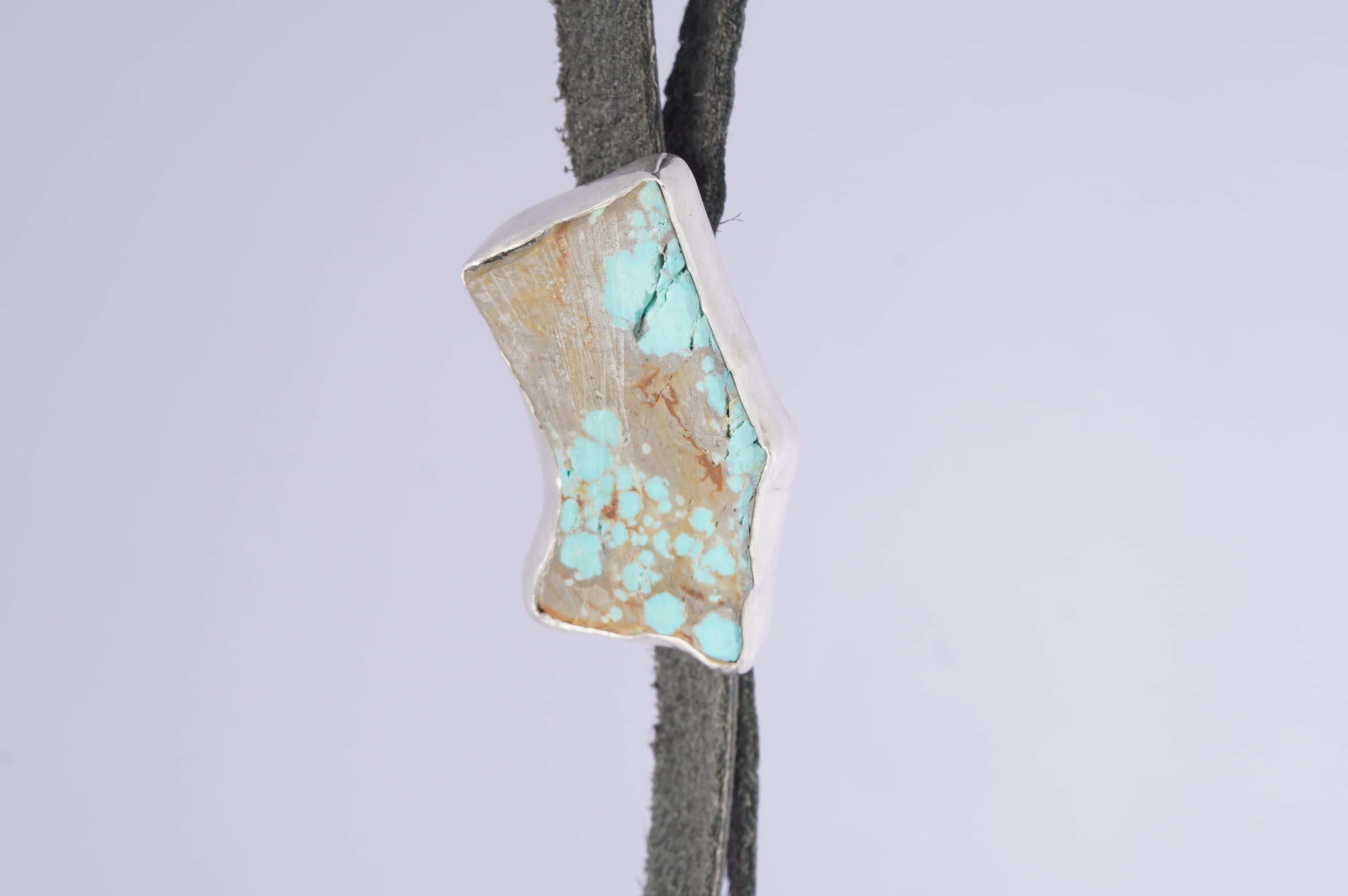 other | sycamore