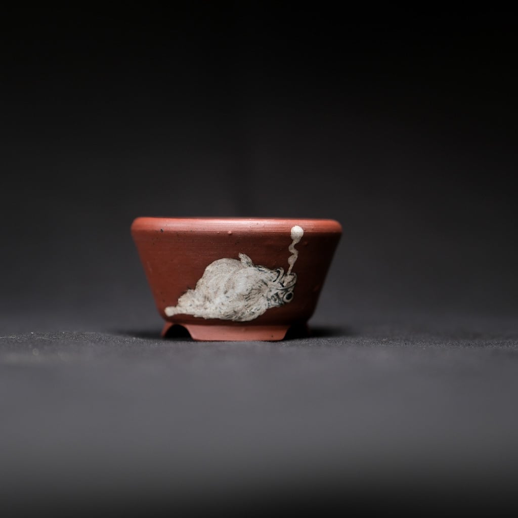 魂抜けた魚【Q鉢】 | bonsaiQ store