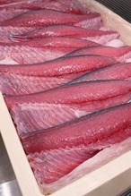 柚子香る 鯖の棒寿司 [龍皮棒]高級 酢昆布巻き 鮮度抜群 [いぶき棒ベース] 10切れ 個包装 高級ギフト 贈り物 [赤坂一颯]