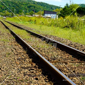 森へ続く線路　track leading to the forest