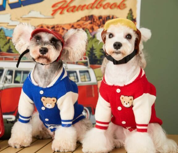 《予約》№1101866 アメリカンドギージャケット