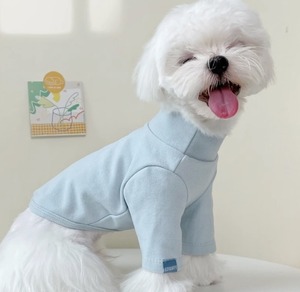 ドッグ 犬 シャツ セーター スリム 細身 ストレート 袖付き かわいい きれいめ シンプル カジュアル 上品 おしゃれ レトロ ラフ ボーイッシュ クール モダン かっちり ヴィンテージ キュート 都会的 クラシカル カレッジ風 ベーシック プレッピー 無地 春 冬 ロングシーズン 春服 冬服 男の子 女の子 スクール デート お出かけ お泊まり パーティー イベント 公園 休日 ホテル ショッピング ガーデン 散歩 ウォーキング 室内 おうち コーデ 暖かい 普段使い トレンド 定番