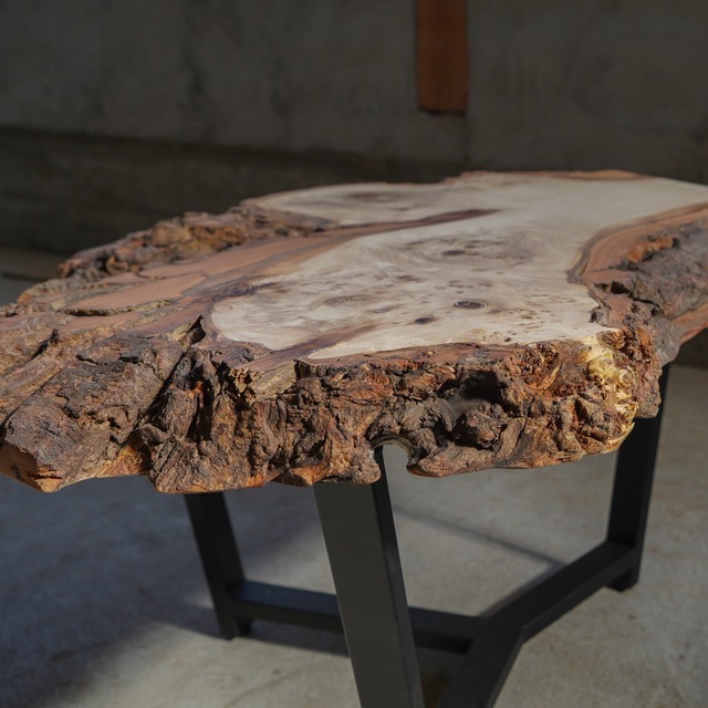 樹皮が野生的なポプラ 一枚板 ローテーブル