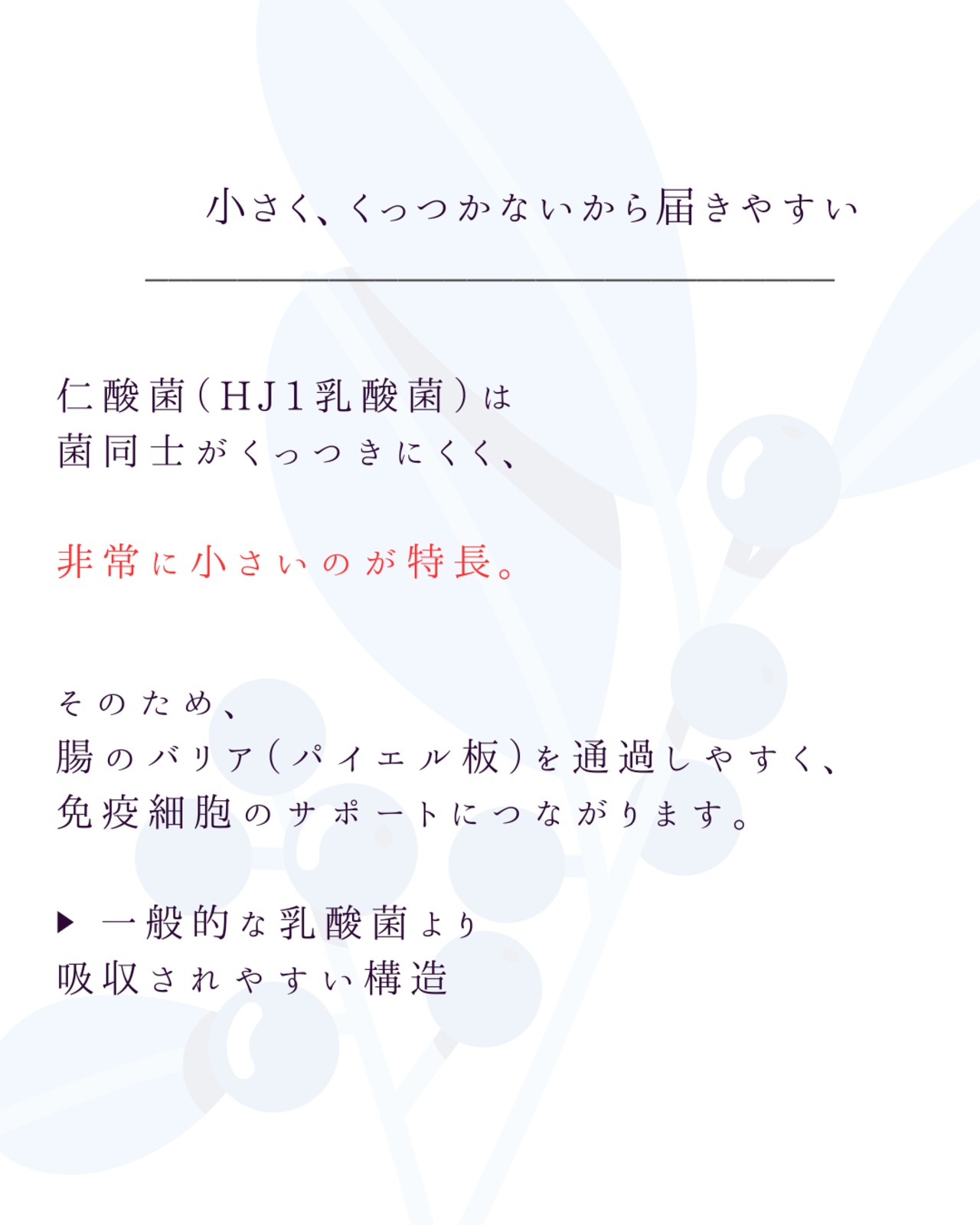 【定期配送】2箱セット乳酸菌 エイチジングリーン EX（30包）・画像4