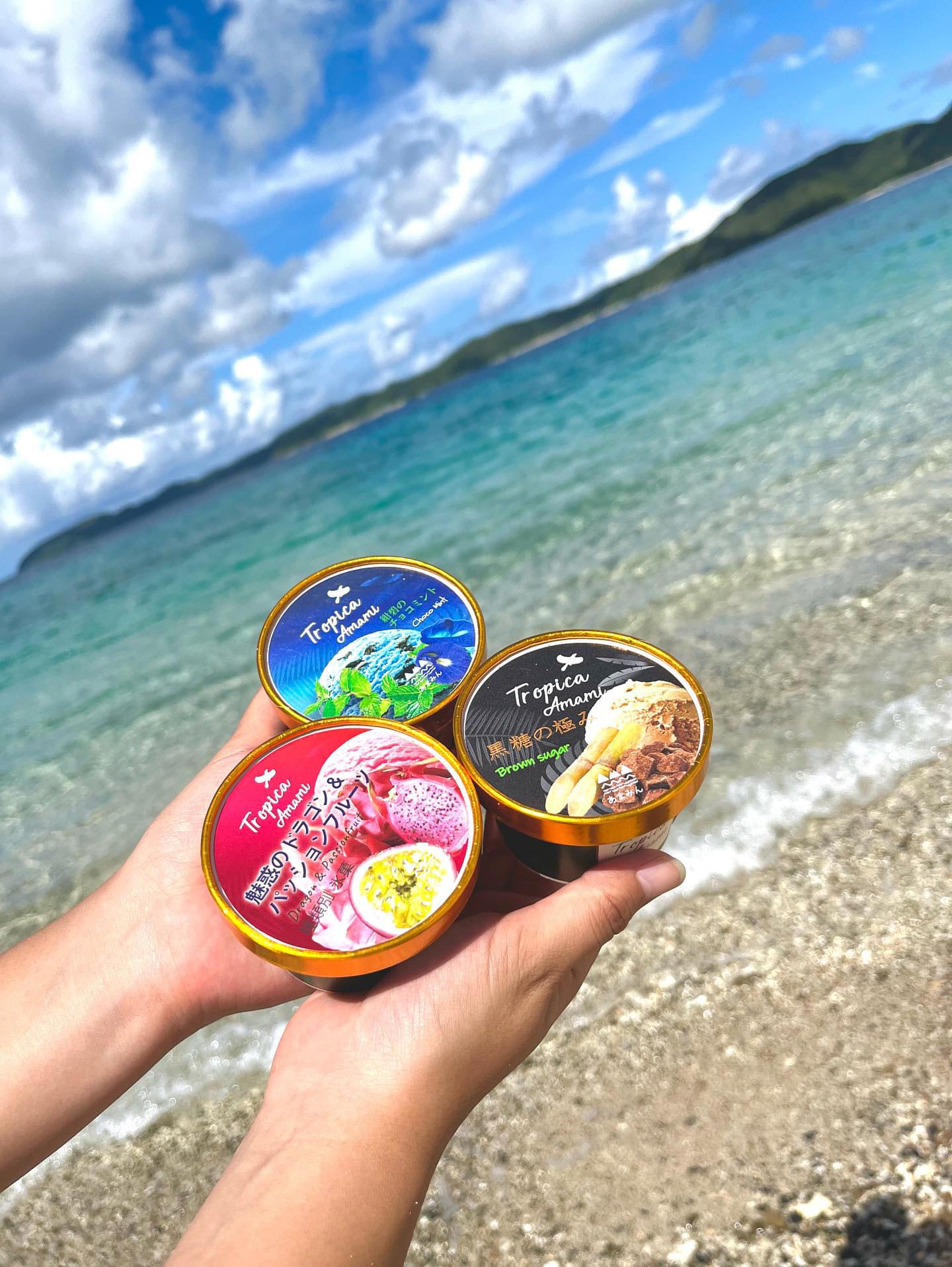 奄美プラム 奄美の素材をふんだんに使ったジェラート8個詰合わせ（送料込