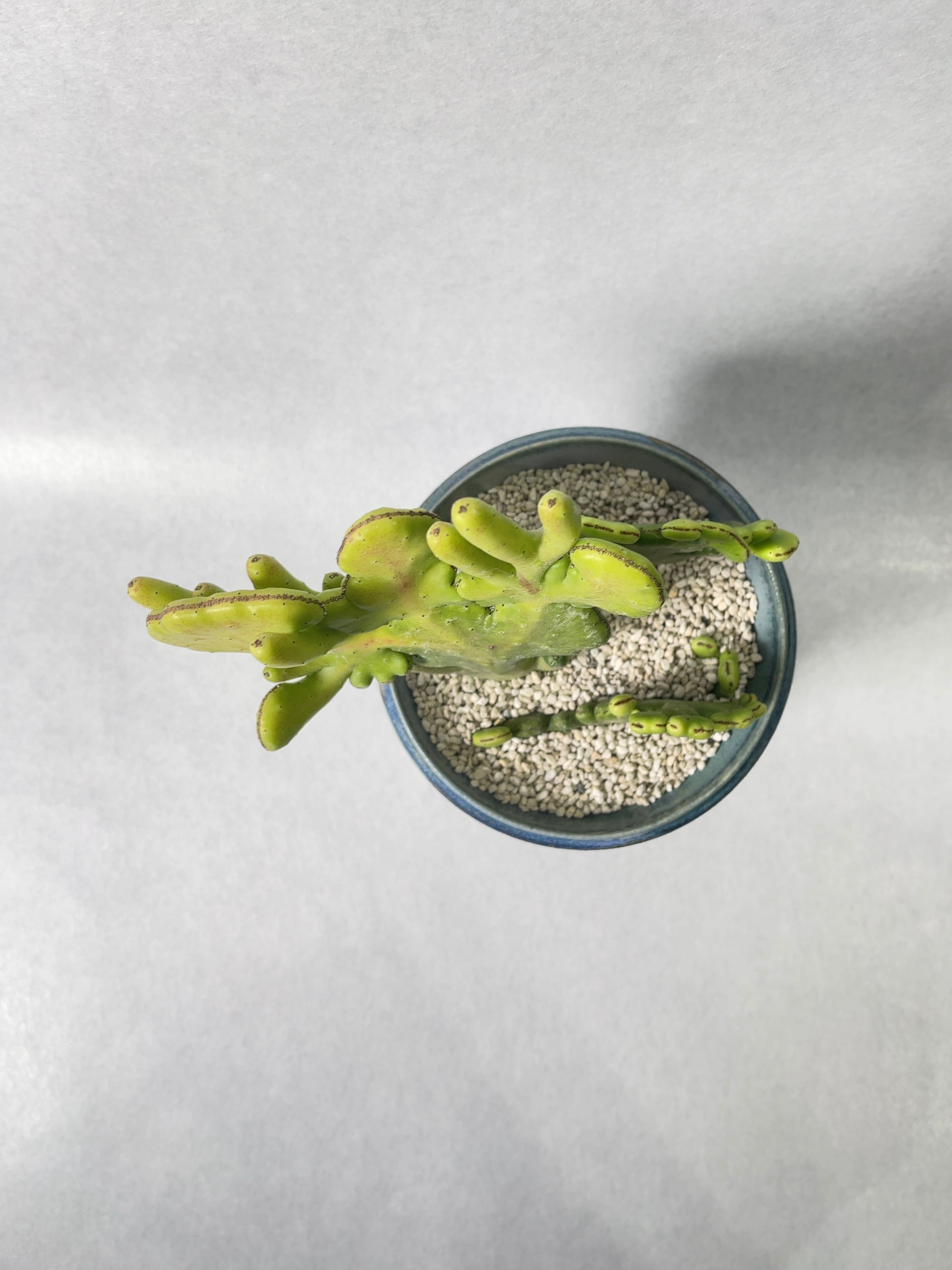 fd97a2268b4e7427b977e407227c40