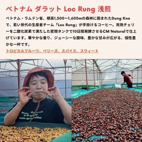 ベトナム ダラット Loc Rung 浅煎 100g