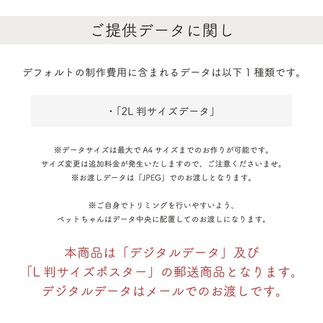 can様専用ページ：イラストオーダー『mofu light』【L判サイズプリント付き！】