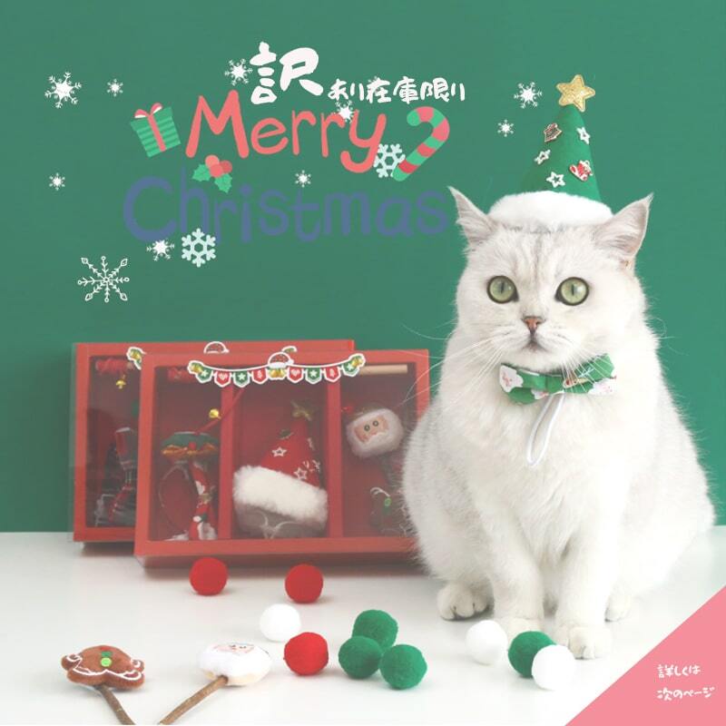 【訳あり】猫 じゃらし 猫 サンタ帽子 セット 首輪 クリスマス おもちゃ 贈り物 セーフティ
