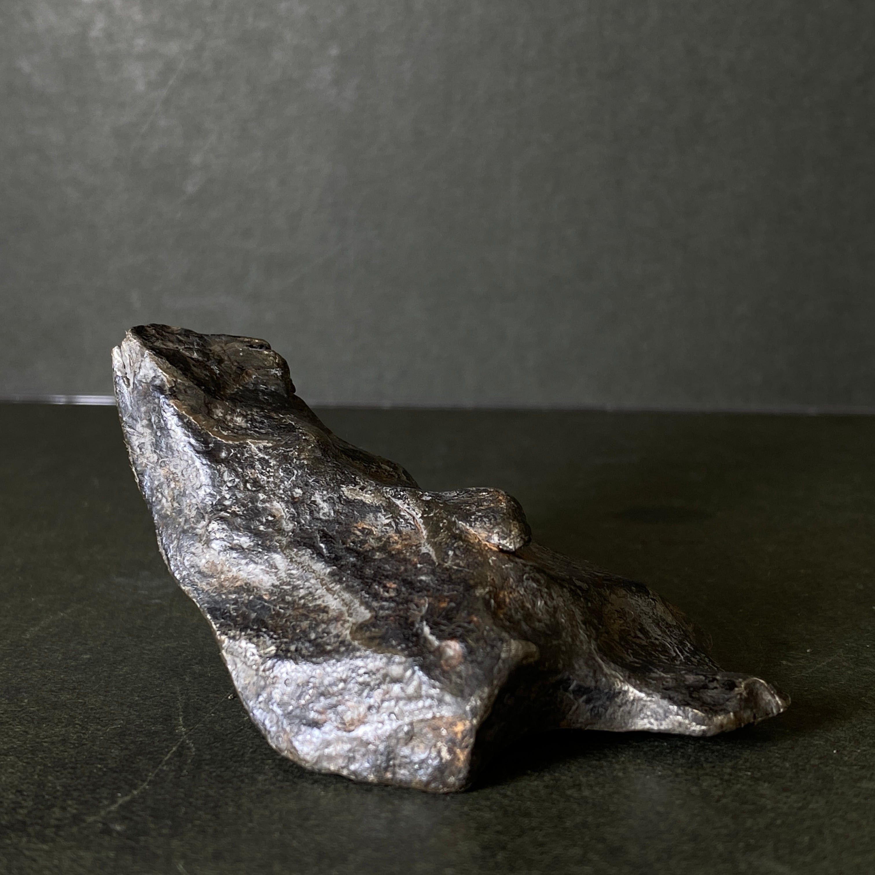 大型】ギベオン隕石 Gibeon Meteorite 25103103 | 【隕石屋】METEOS