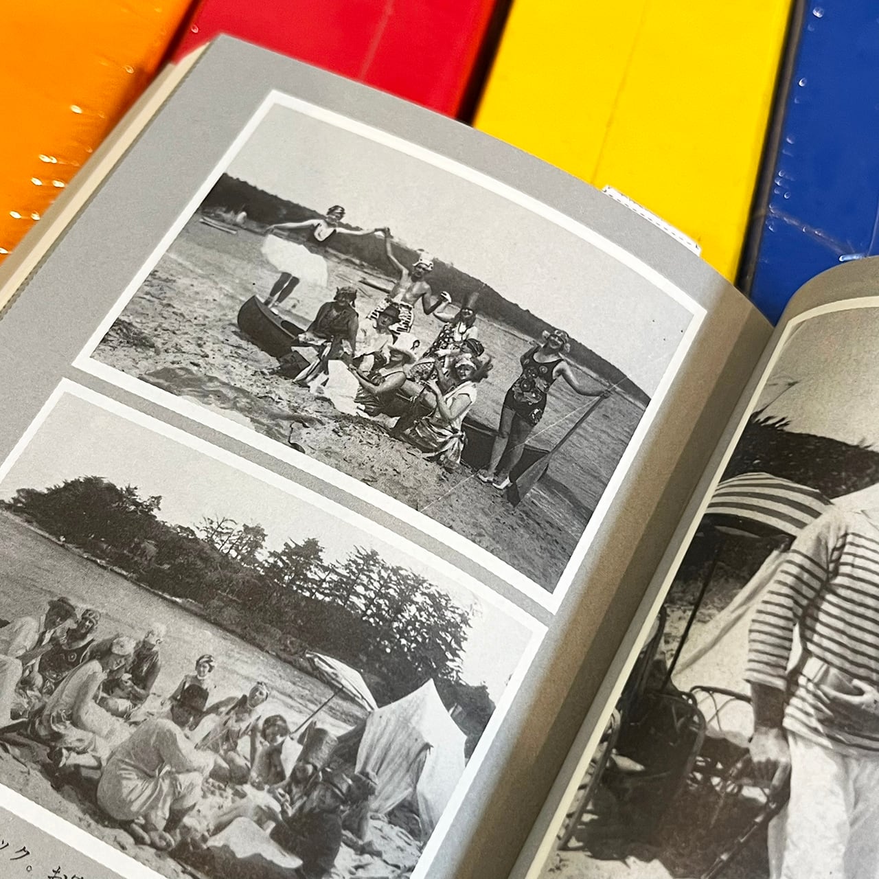 優雅な生活が最高の復讐である：カルヴィン・トムキンズ／青山南・訳