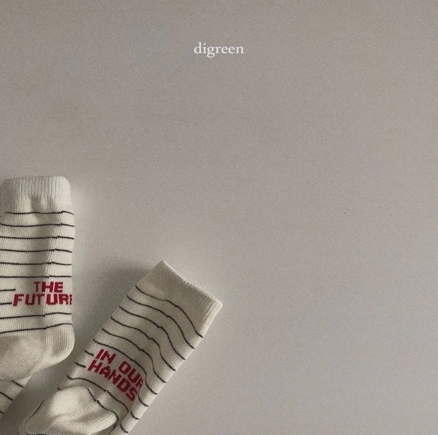 digreen / future socks (3P set)