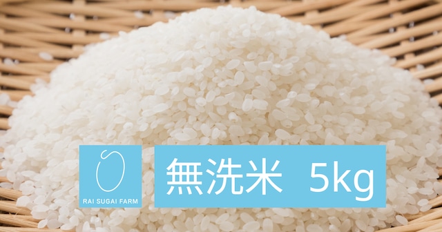 【2023年新米】無洗米：5kg「新潟県産コシヒカリ」