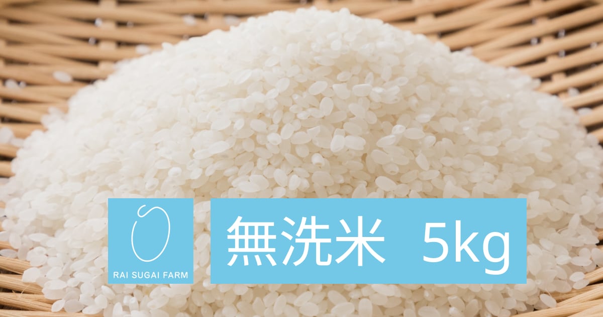 2023年新米】無洗米：5kg「新潟県産コシヒカリ」　RAI　SUGAI　FARM