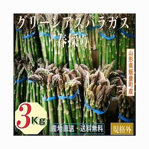 野菜 訳あり 山形県飯豊町産 名物 グリーンアスパラガスご家庭用 生食３Kg /袋 産地直送 送料無料