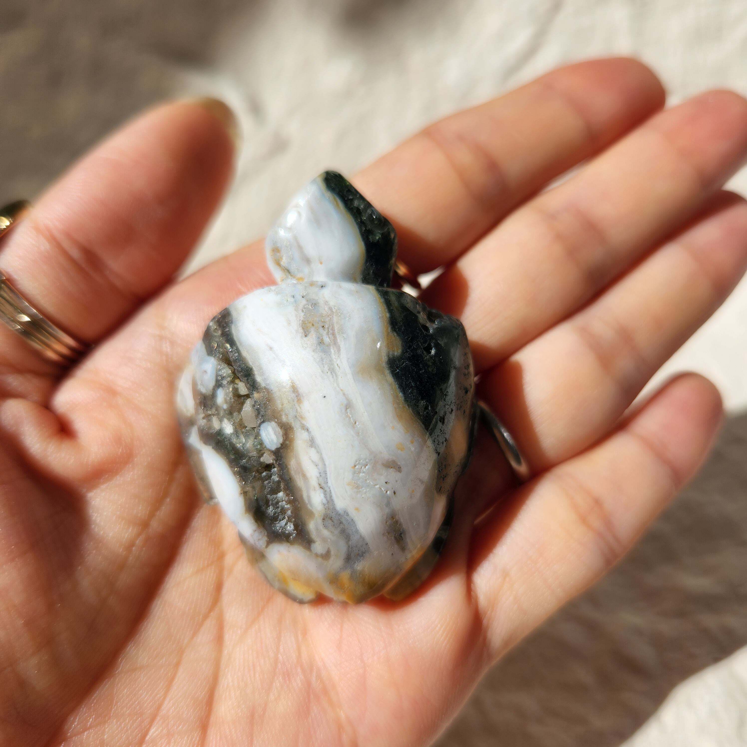 ✴8th Vein High Quality Ocean Jasper Turtle（8th Vein ハイ 