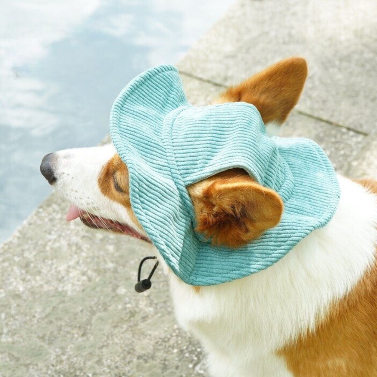 Naoさま確認用☺︎わんこふく 犬服 ⑤⑧③⑧‪( ˙º̬˙ )و ̑̑‬