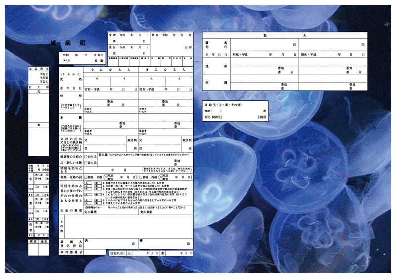 ハイデザイン婚姻届 「 シンデレラPairs 」3枚セット＜令和版＞ | Todoke堂