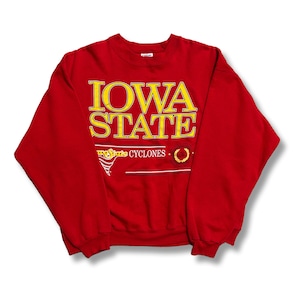 Iowa State University Printed Sweatshirt. Hanes