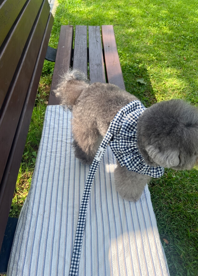 〈予約アイテム〉OHDIBS / capeness no.11 _