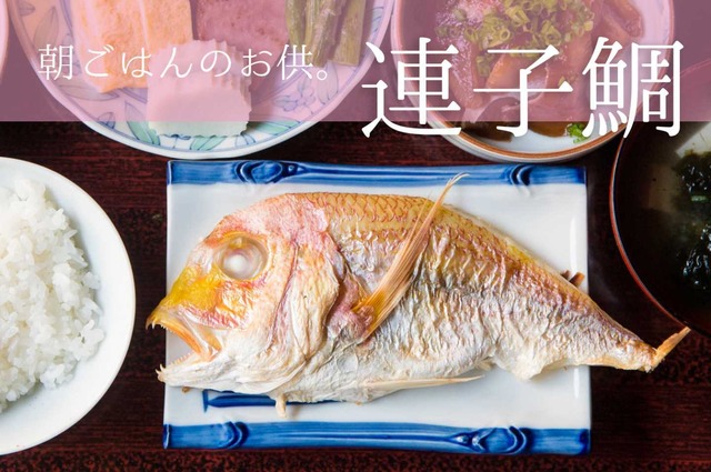 連子鯛干物〈冷凍〉