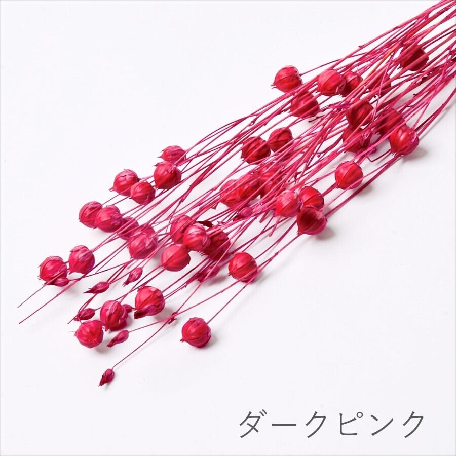 リンフラワー Small Pack | ＋FLOWER・プラスフラワー・プリザーブド