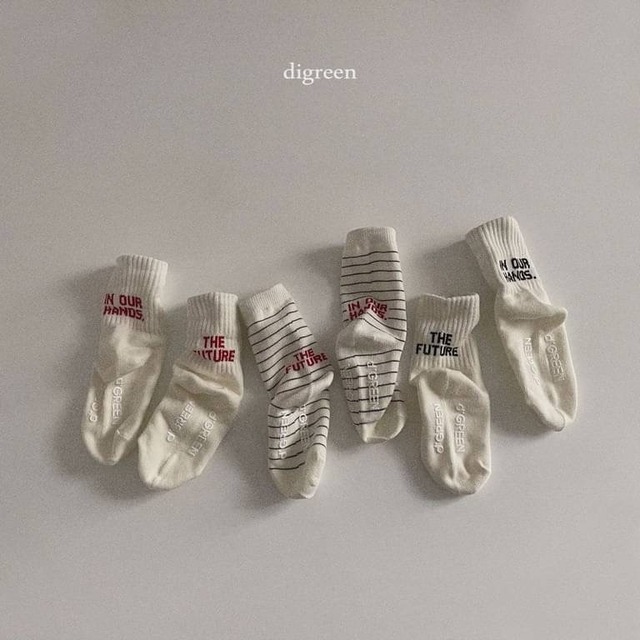 〈送料無料〉Future socks