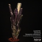 【送料無料】Aechmea 'Robelt Menescal'〔エクメア〕現品発送A0073