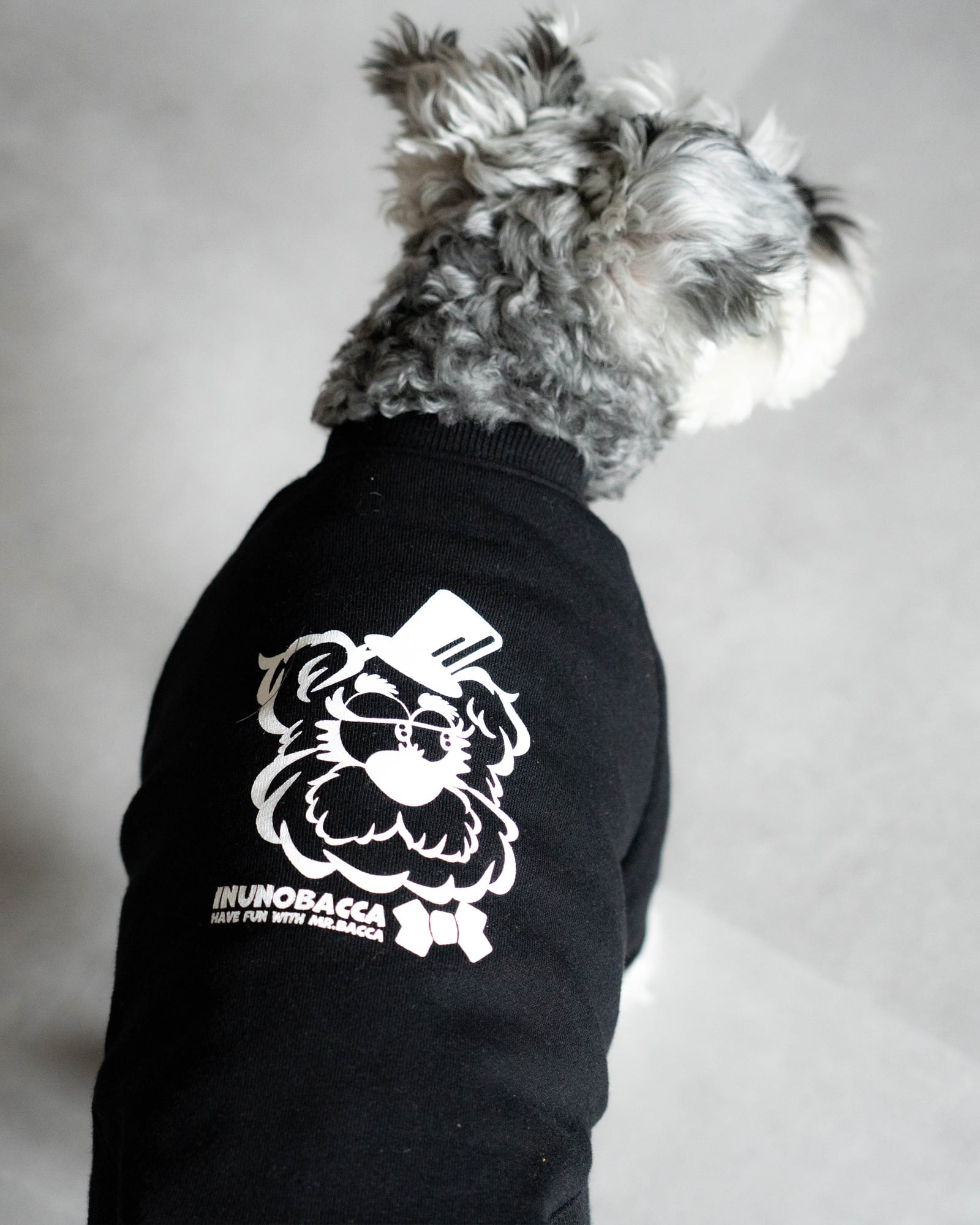 犬服 | Inunobacca
