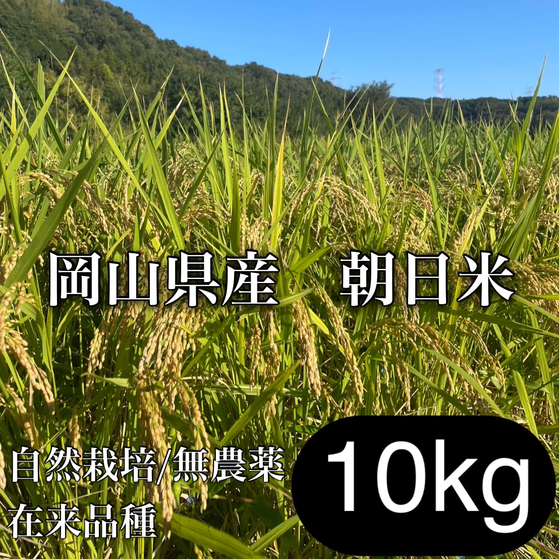 R7年 自然栽培米 朝日米10kg玄米 R7年 自然栽培米 朝日米10kg玄米 【公式通販】