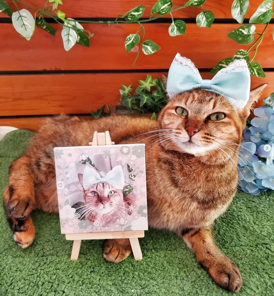 キャンバスアート 10×10cm イラスト風 インテリア｜写真入り｜うちの子