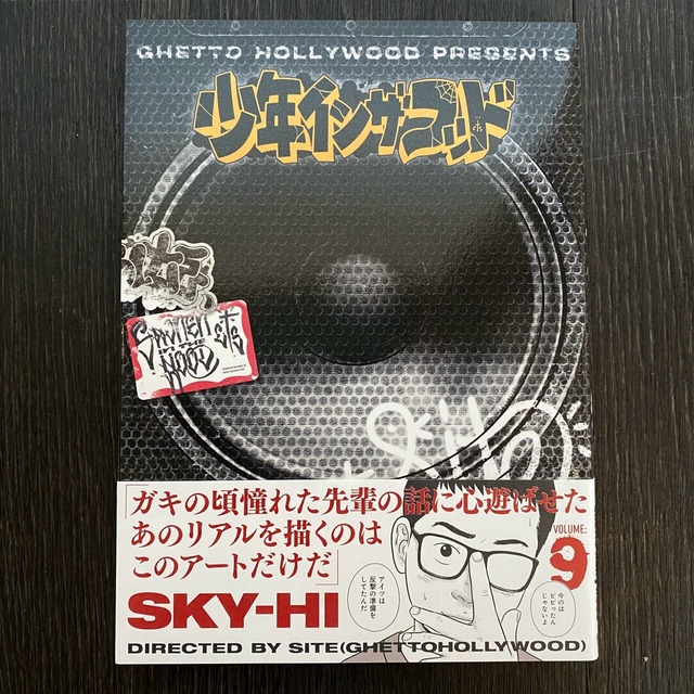 SITE (Ghetto Hollywood) / 少年イン・ザ・フッド 9 【特典付】