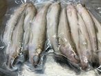 【今や幻の魚】本柳葉魚/ししゃも/10匹/オス/-60℃急速冷凍/刺身用【冷凍】