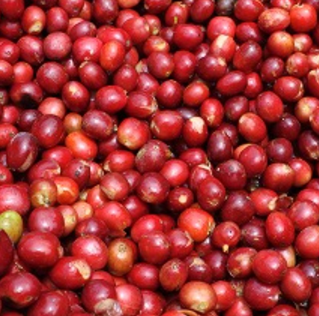 Indonesia Mandheling "Bintang Lima"200g