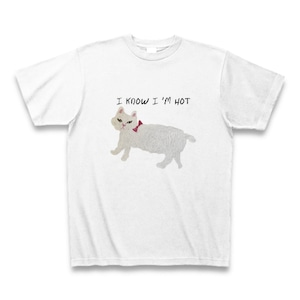 I KNOW I'M HOT T SHIRT 送料無料