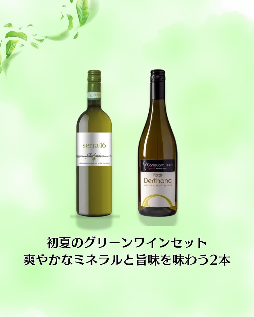 初夏限定 グリーンワインセット（ヴェルディッキオ＆ティモラッソ）15%OFF